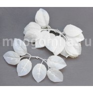 Листья для роз белые, под стебель